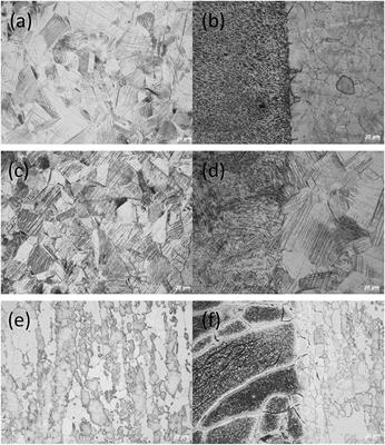 Study on Microbiologically Influenced Corrosion Resistance of Stainless Steels With Weld Seams